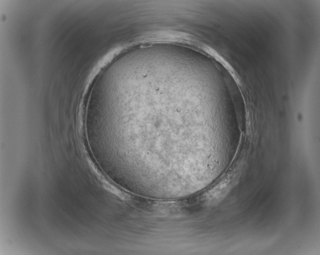 X0000067501477200604101218