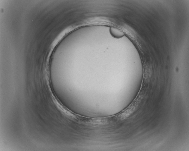 X0000067501478200604101218