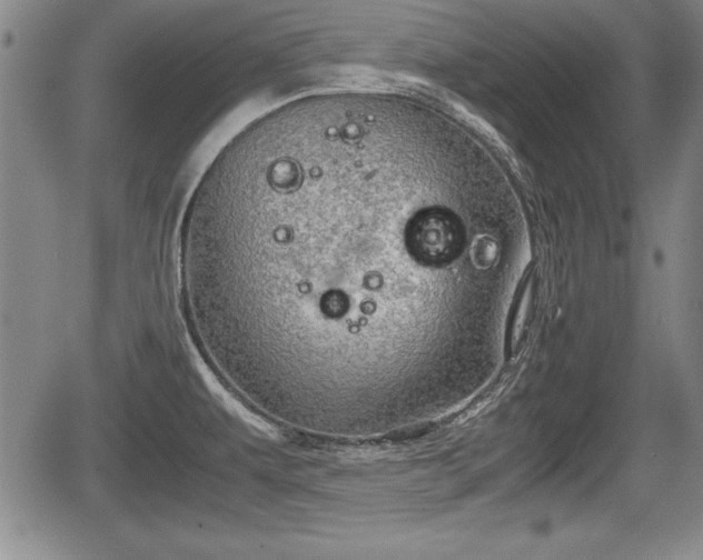 X0000067501479200604101218