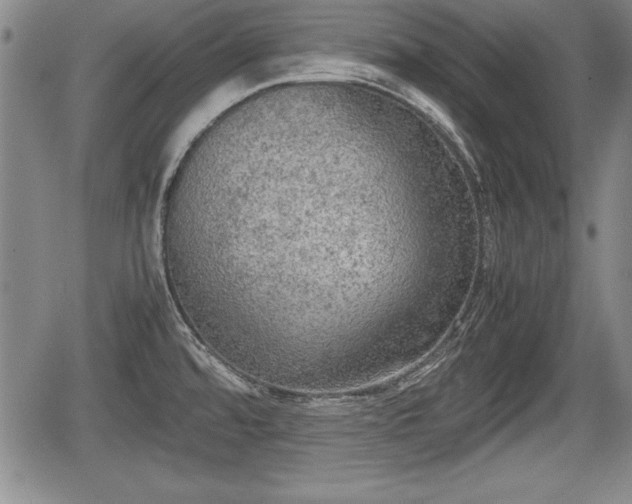 X0000067501480200604101218