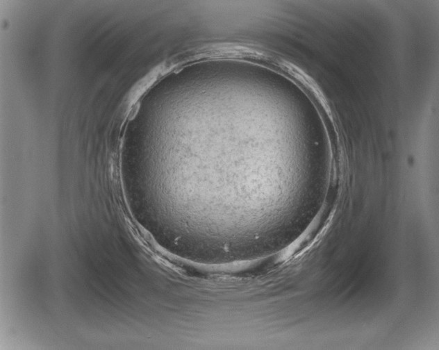 X0000067501481200604101218