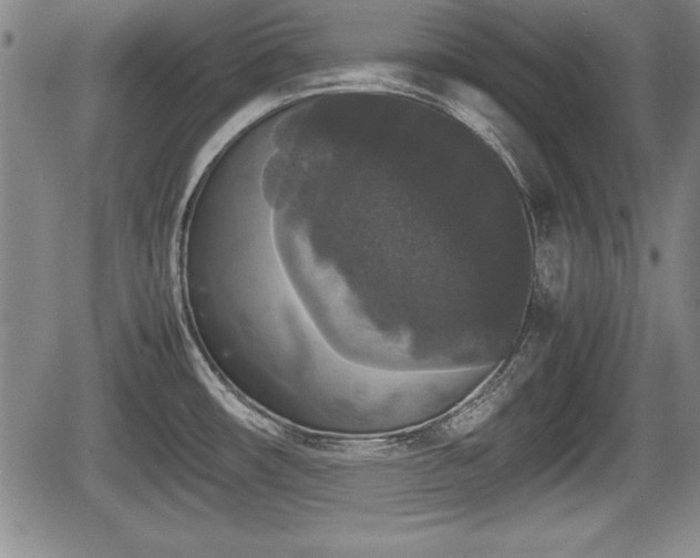 X0000067501482200604101218