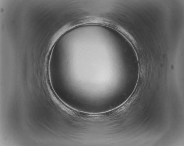 X0000067501483200604101218