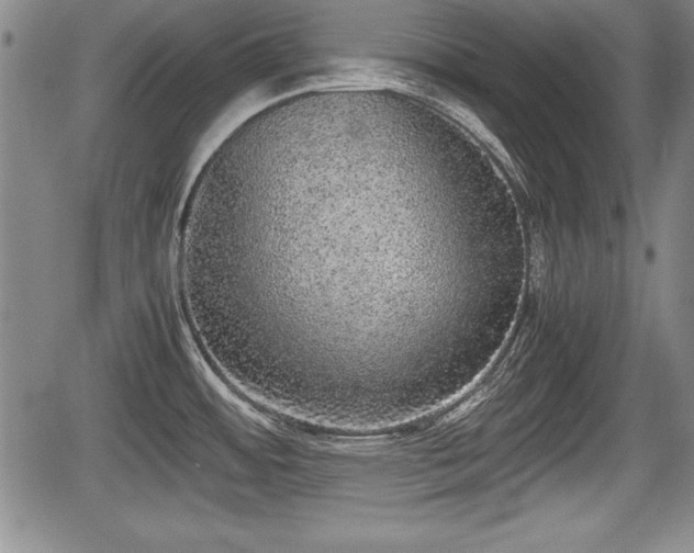 X0000067501484200604101218