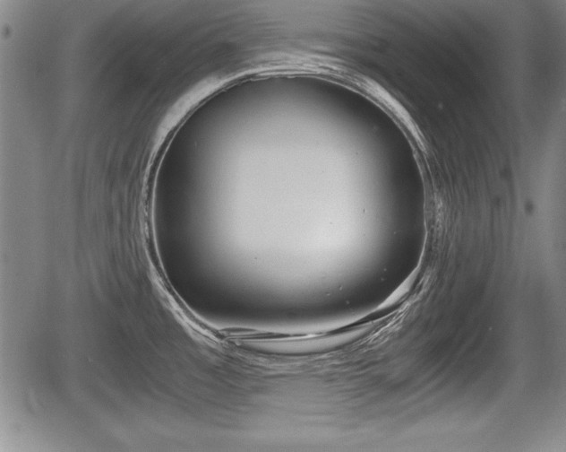 X0000067501485200604101218