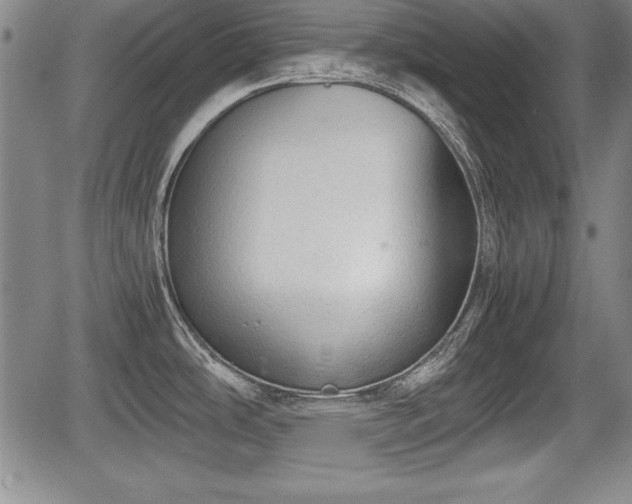 X0000067501486200604101218