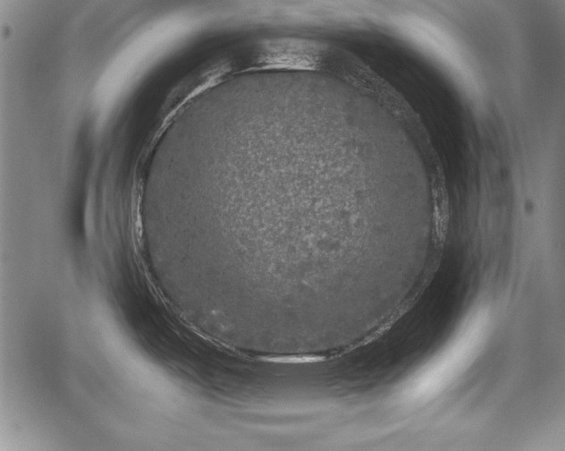 X0000067501487200604101218