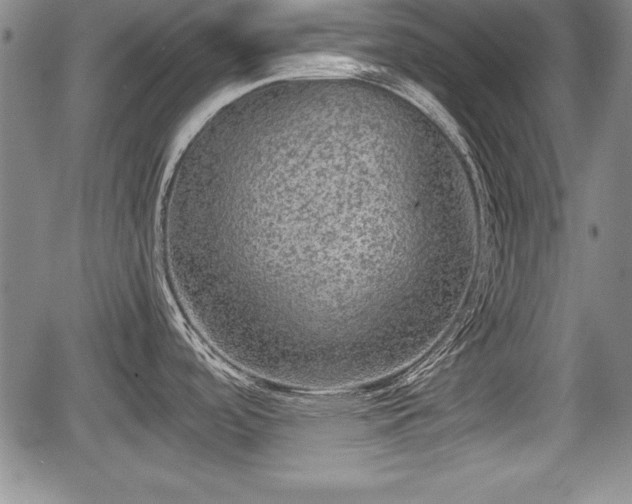 X0000067501488200604101218