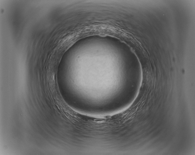 X0000067501489200604101217