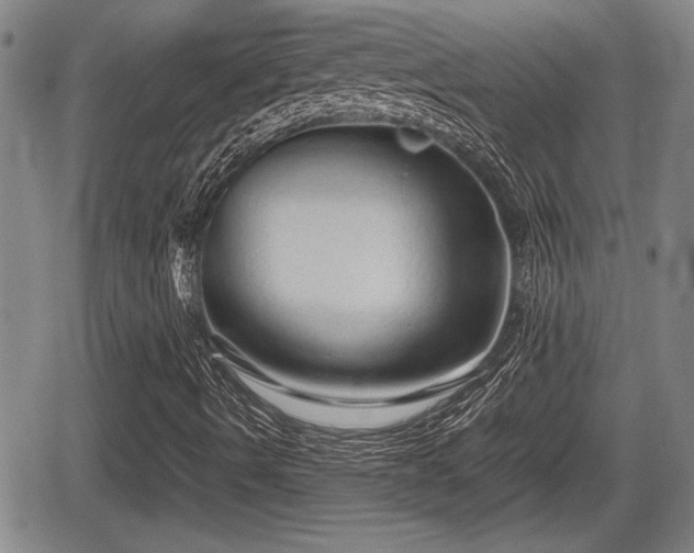 X0000067501490200604101217