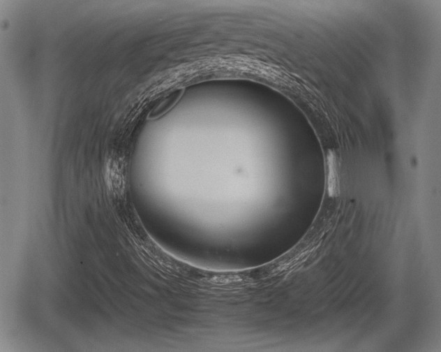 X0000067501491200604101217