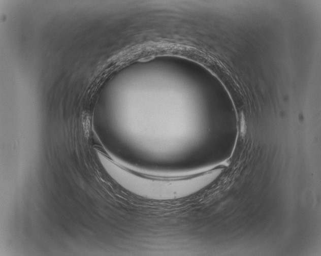 X0000067501492200604101217