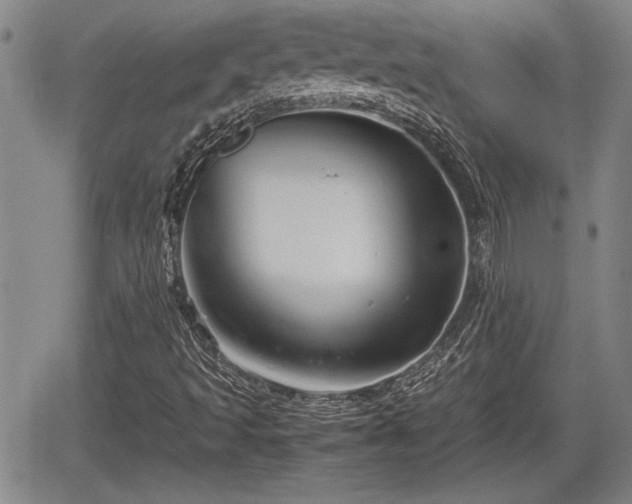 X0000067501493200604101217