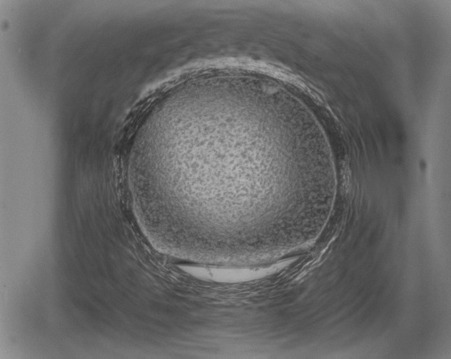 X0000067501494200604101217