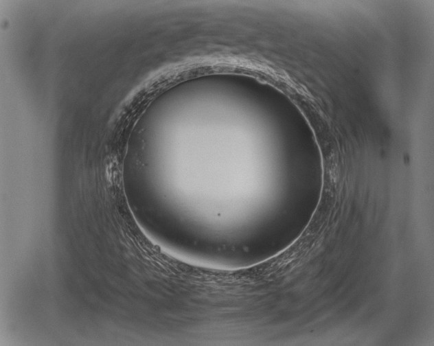 X0000067501495200604101217