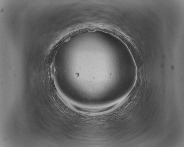 X0000067501496200604101217