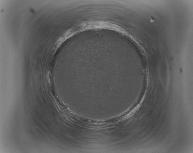 X0000067501497200604101217