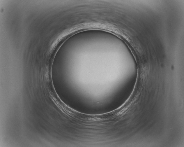 X0000067501499200604101217