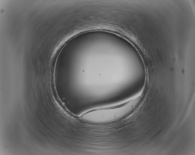 X0000067501500200604101217