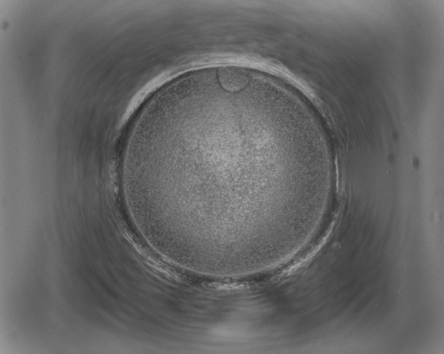 X0000067501501200604101217