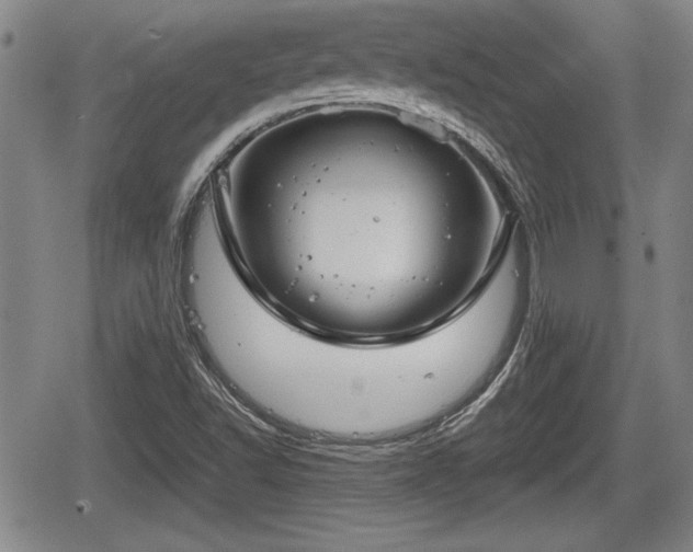 X0000067501502200604101217