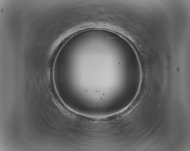 X0000067501503200604101217