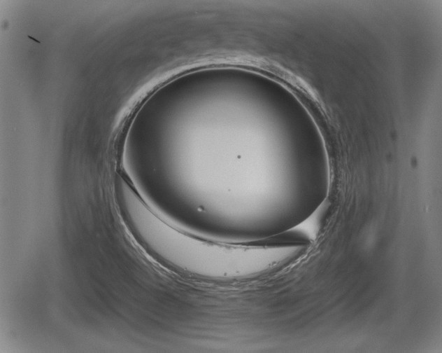 X0000067501504200604101217