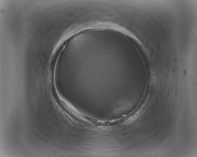 X0000067501506200604101217