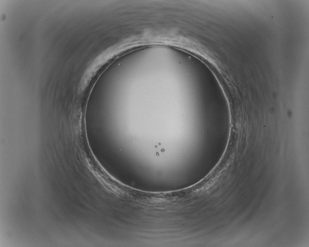 X0000067501507200604101217