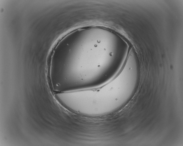 X0000067501508200604101217