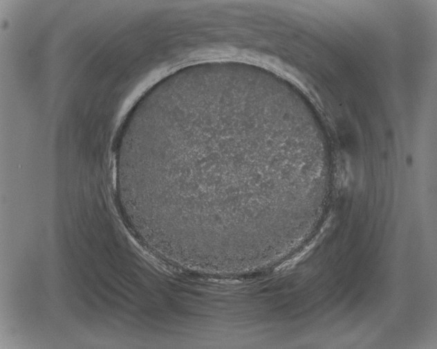 X0000067501509200604101217