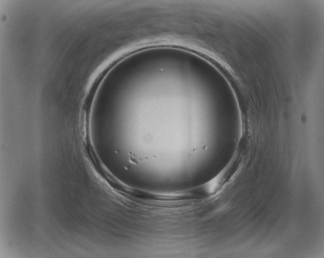 X0000067501510200604101217