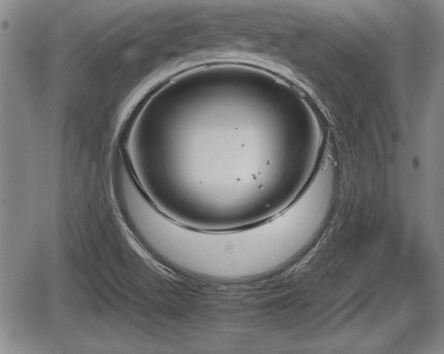 X0000067501511200604101217