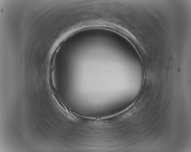 X0000067501512200604101217