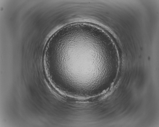 X0000067501513200604101217