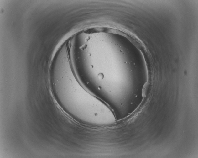 X0000067501514200604101217