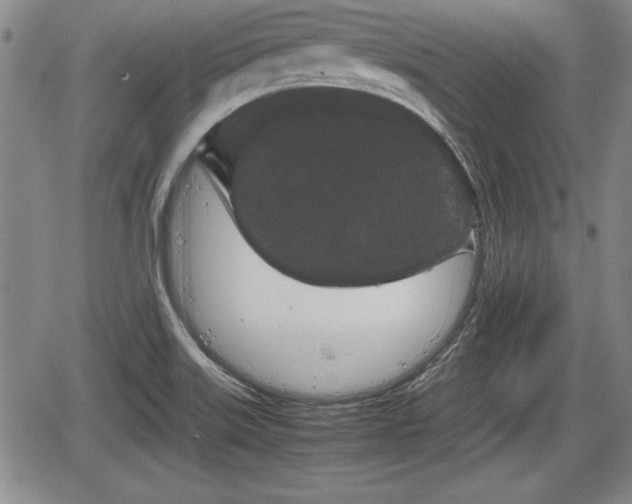 X0000067501515200604101217