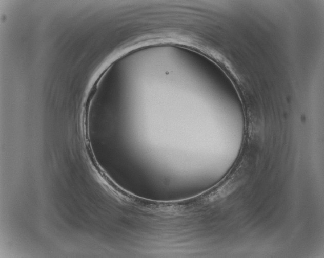 X0000067501516200604101217