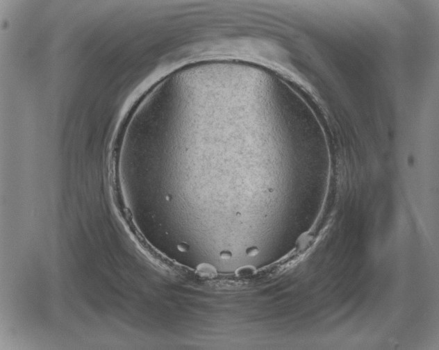 X0000067501517200604101217