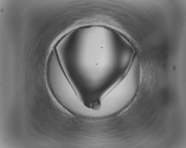 X0000067501518200604101217