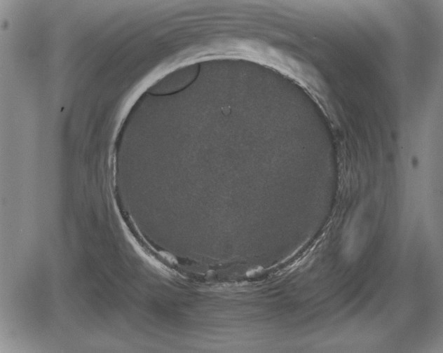 X0000067501519200604101217