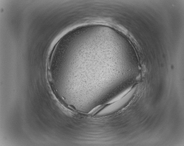 X0000067501520200604101218