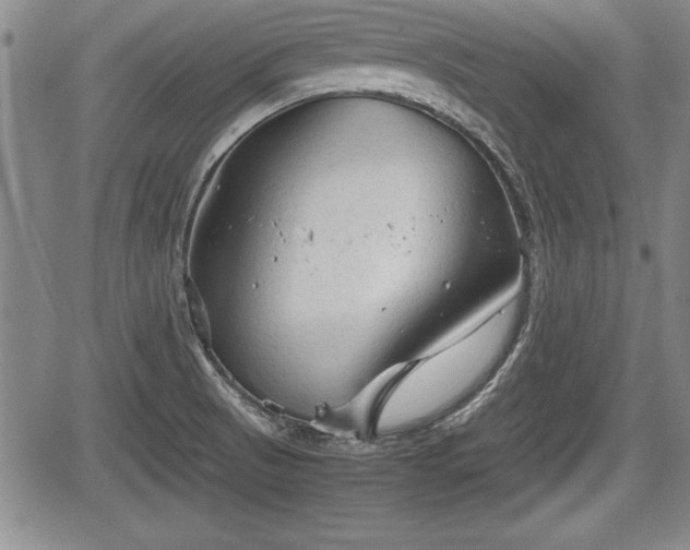 X0000067501521200604101218