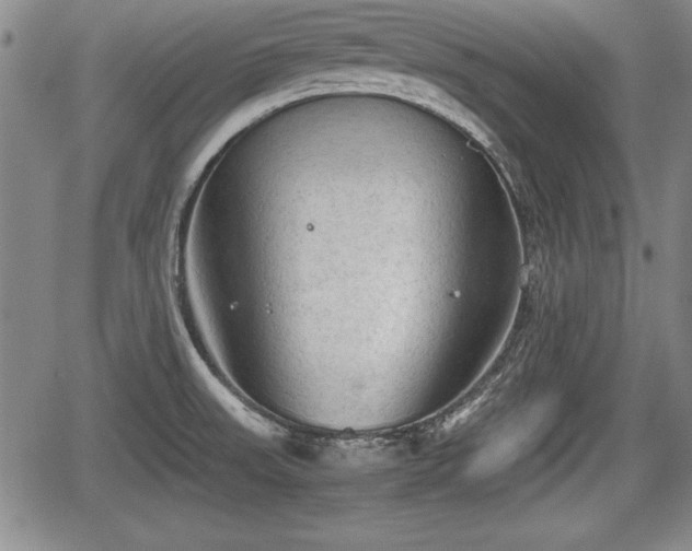 X0000067501523200604101218