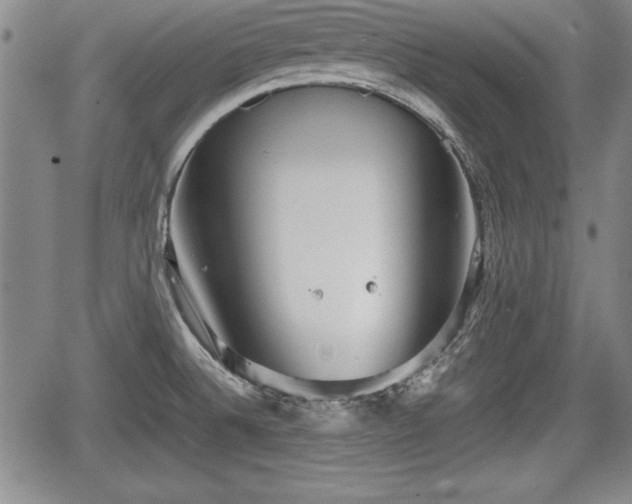 X0000067501524200604101218