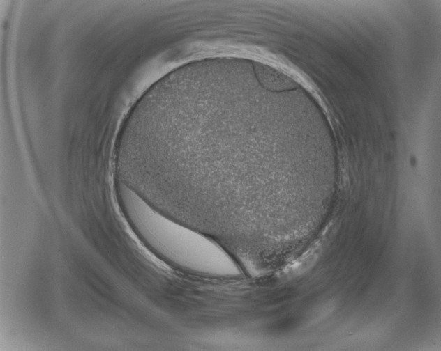 X0000067501525200604101218