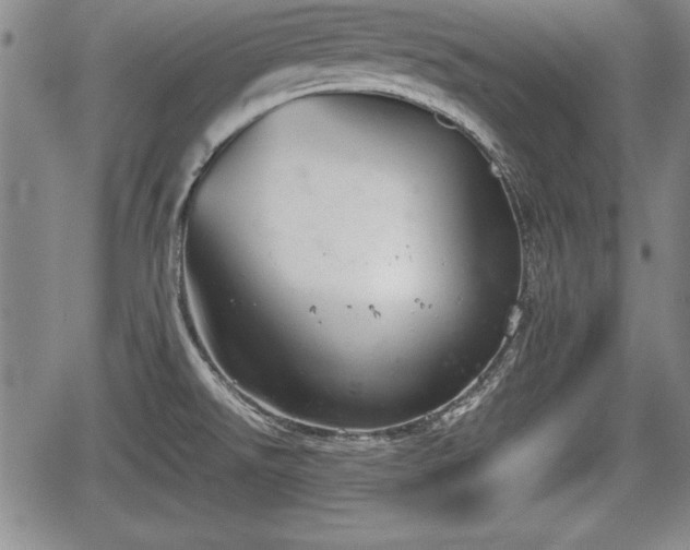 X0000067501526200604101218