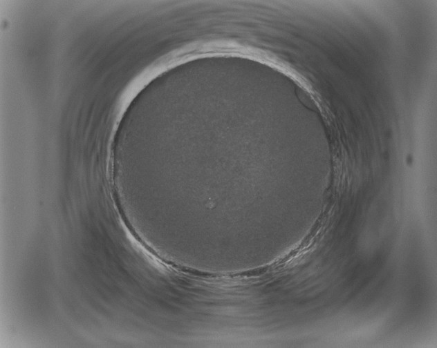 X0000067501527200604101218