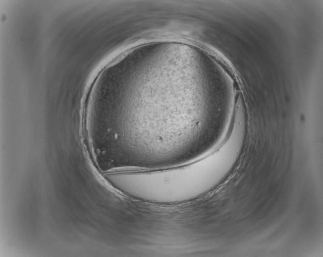 X0000067501528200604101218