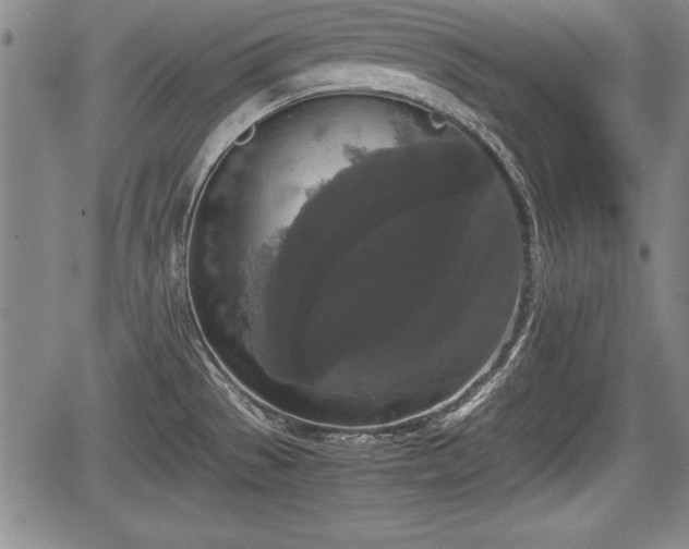 X0000067501529200604101218